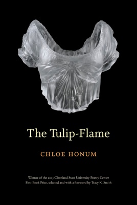 The Tulip-Flame