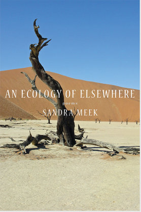An Ecology of Elsewhere