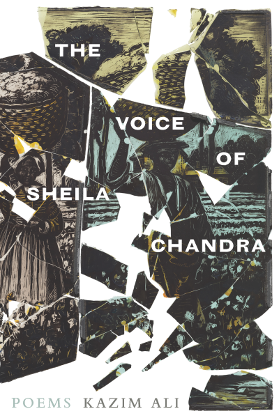 The Voice of Sheila Chandra