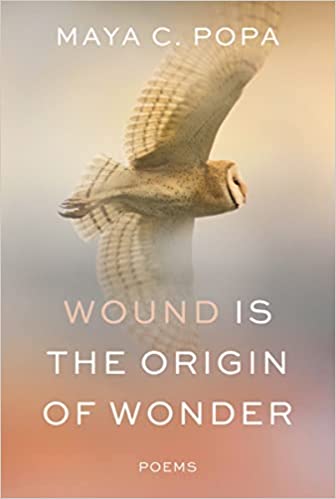 Wound Is the Origin of Wonder
