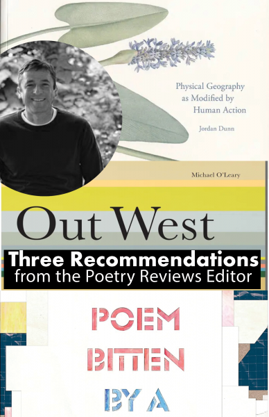 Three Books for Autumns Fading Splendor: Three Recommendations from the Poetry Reviews Editor