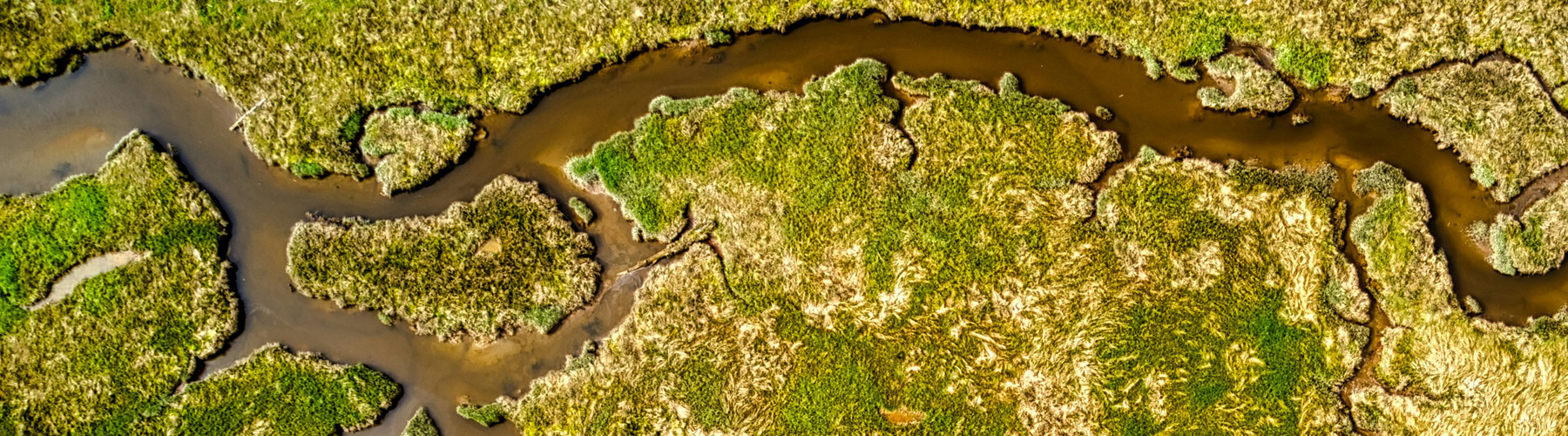 A creek network from above.
