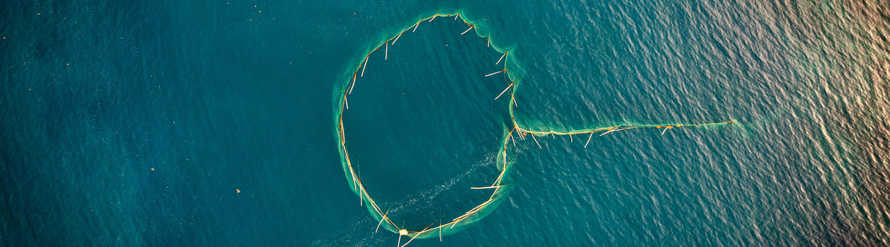 Aerial view of large fishing net in ocean.